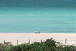 Beach View