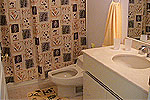 Living Full Bathroom