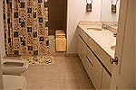 Master Full Bathroom