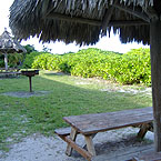 Picnic Area