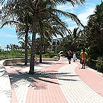 Boardwalk